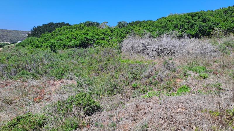 0 Bedroom Property for Sale in Stilbaai Wes Western Cape